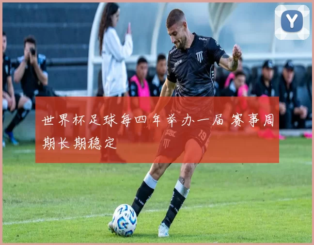 世界杯足球每四年举办一届 赛事周期长期稳定
