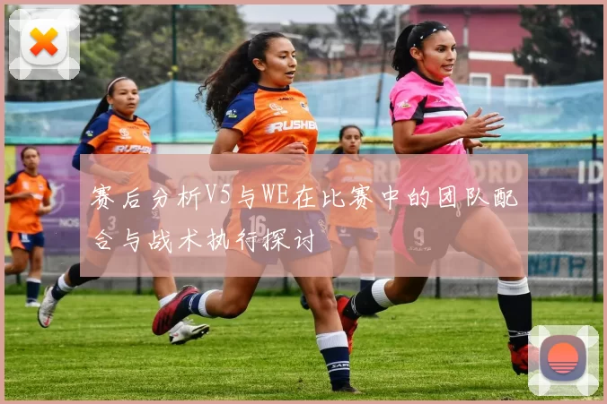 赛后分析V5与WE在比赛中的团队配合与战术执行探讨