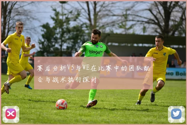 赛后分析V5与WE在比赛中的团队配合与战术执行探讨