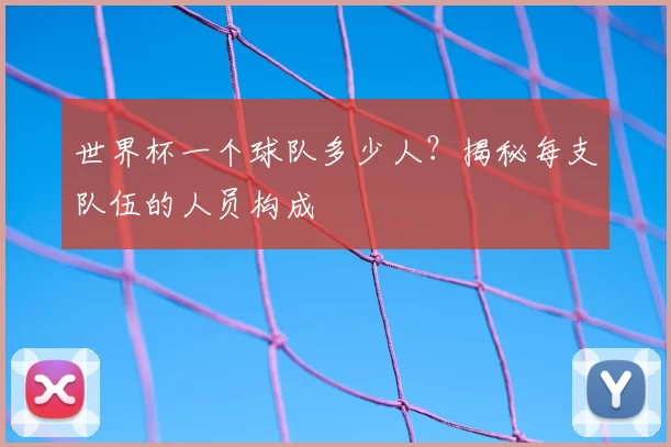世界杯一个球队多少人？揭秘每支队伍的人员构成