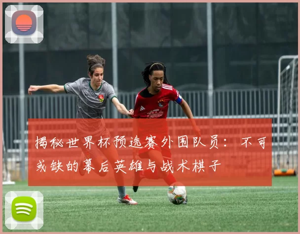 揭秘世界杯预选赛外围队员:不可或缺的幕后英雄与战术棋子