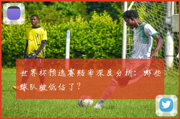 世界杯预选赛赔率深度分析：哪些球队被低估了？
