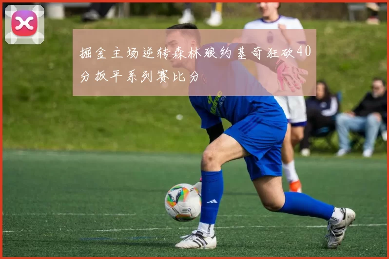 掘金主场逆转森林狼约基奇狂砍40分扳平系列赛比分