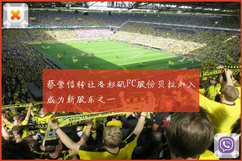 蔡崇信转让洛杉矶FC股份贝拉加入成为新股东之一