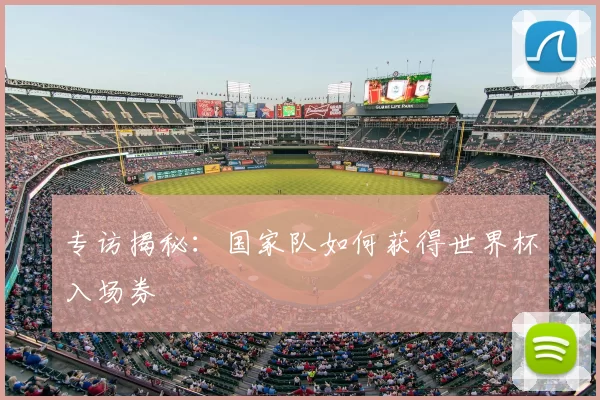 专访揭秘:国家队如何获得世界杯入场券