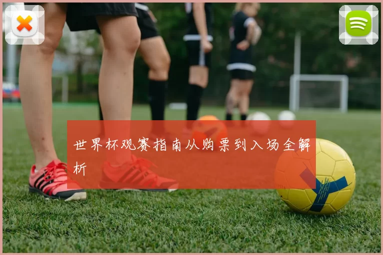 世界杯观赛指南从购票到入场全解析