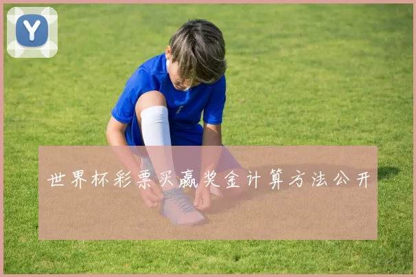 世界杯彩票买赢奖金计算方法公开