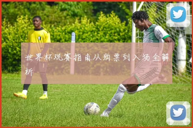 世界杯观赛指南从购票到入场全解析