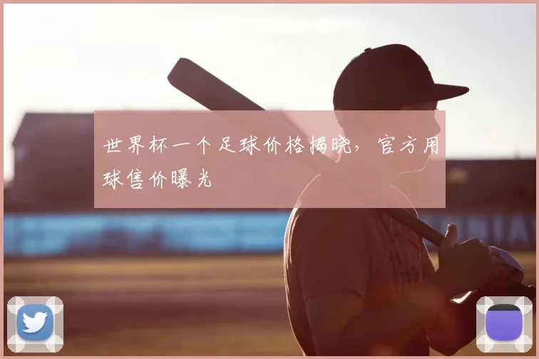 世界杯一个足球价格揭晓，官方用球售价曝光