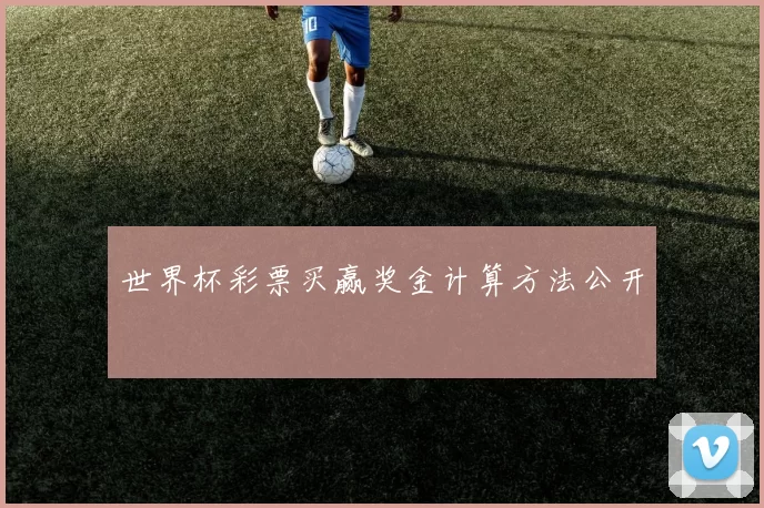 世界杯彩票买赢奖金计算方法公开