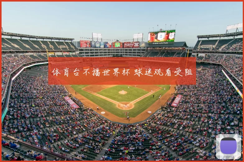 体育台不播世界杯 球迷观看受阻