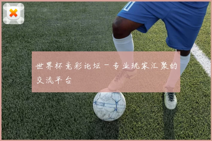世界杯竞彩论坛 - 专业玩家汇聚的交流平台