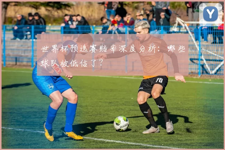 世界杯预选赛赔率深度分析：哪些球队被低估了？