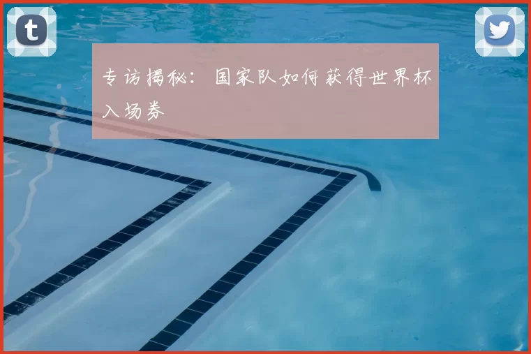 专访揭秘:国家队如何获得世界杯入场券