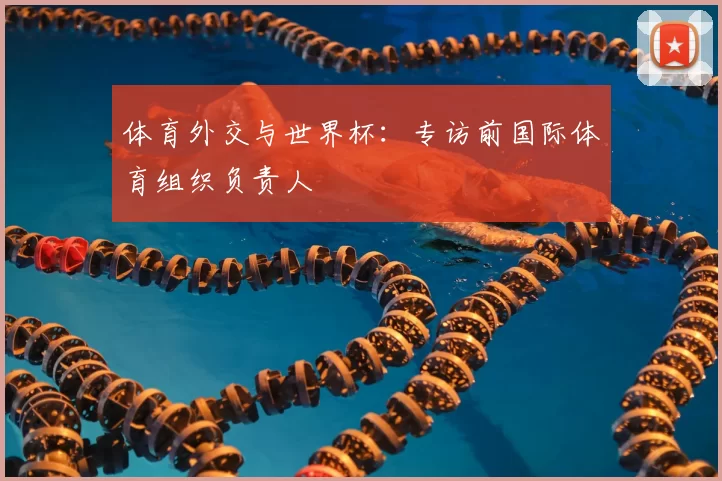 体育外交与世界杯：专访前国际体育组织负责人