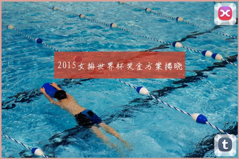 2015女排世界杯奖金方案揭晓