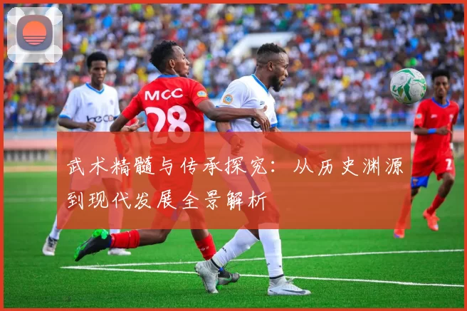 武术精髓与传承探究：从历史渊源到现代发展全景解析