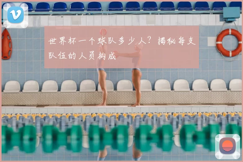世界杯一个球队多少人?揭秘每支队伍的人员构成