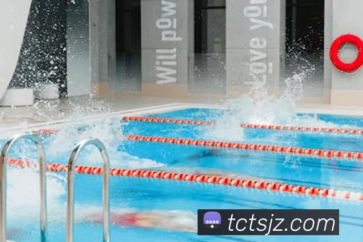 星空体育服务体系